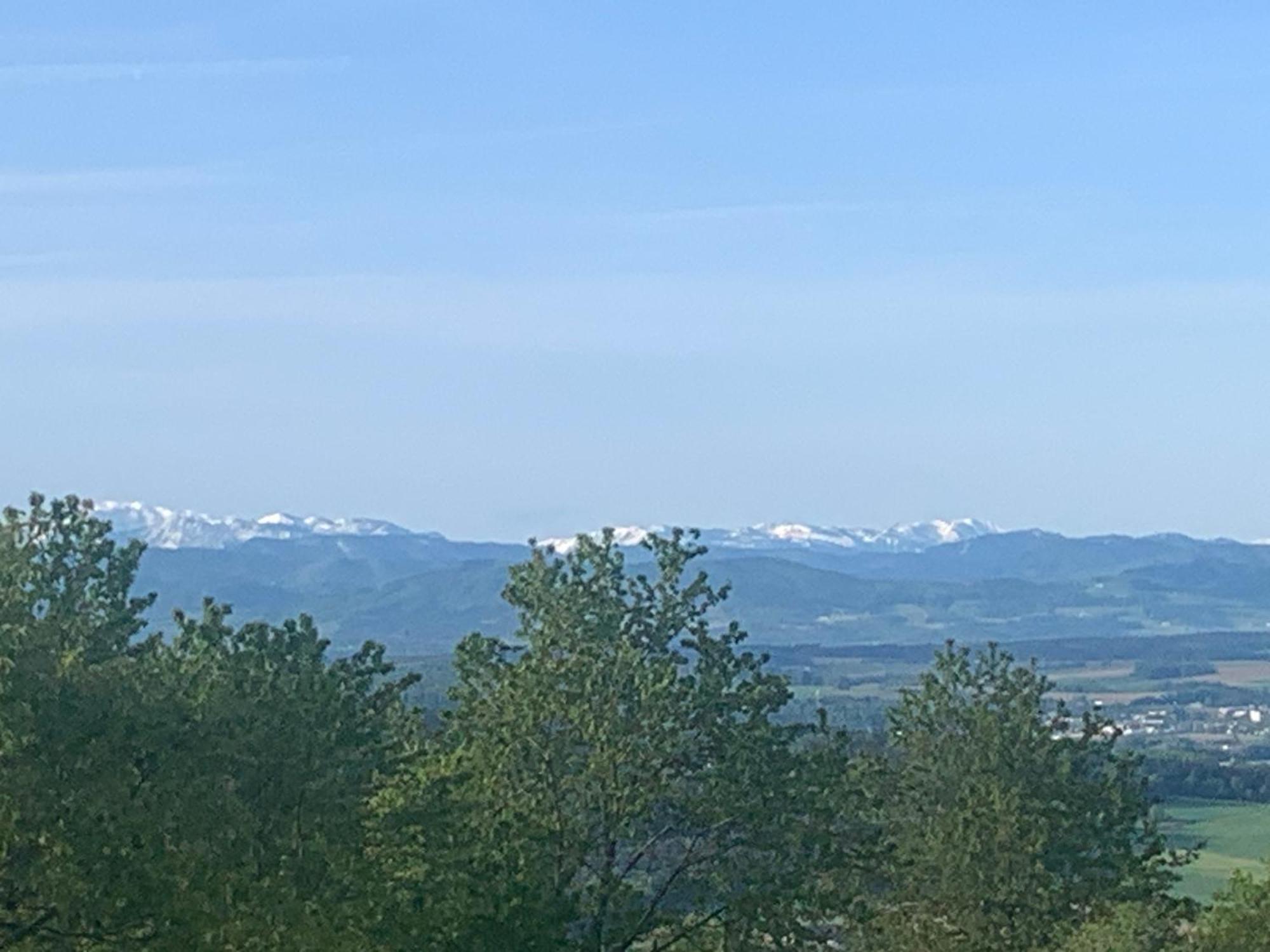 Pilgerrosenhof Lägenhet Maria Taferl Exteriör bild